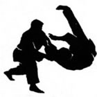 Hapkido em Boa Vista