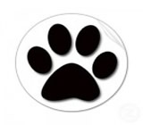 Pet Shops em Boa Vista