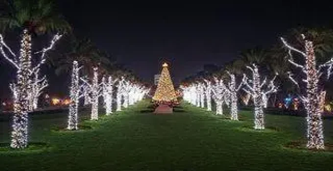 Acendimento das luzes no Parque do Rio Branco