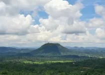 GLEBA CAUAMÉ