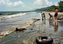 Prefeitura de Boa Vista