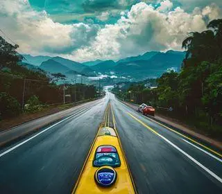 RODOVIDA