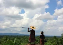 atuação integrada yanomami ye’kwana
