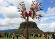 Festival Viva Roraima