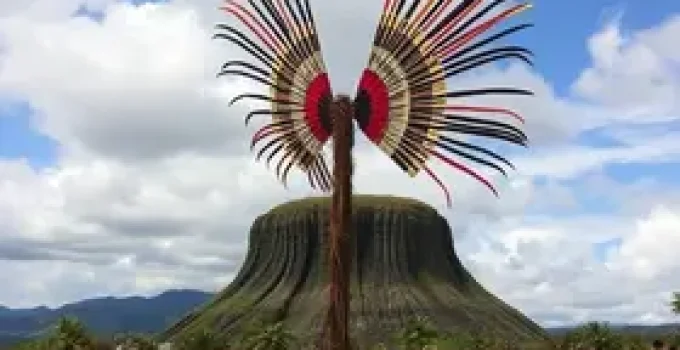 Festival Viva Roraima