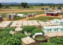 entrega de insumos a agricultores de Boa Vista
