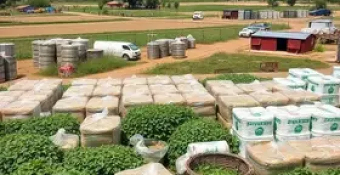 entrega de insumos a agricultores de Boa Vista