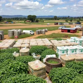 entrega de insumos a agricultores de Boa Vista