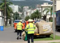 limpeza urbana